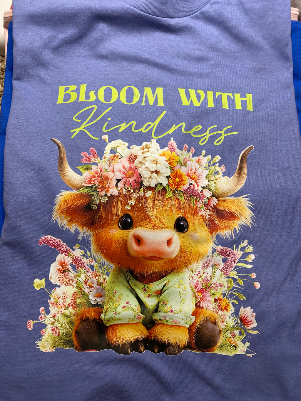 T-Shirt sale 2 for $25 - $30